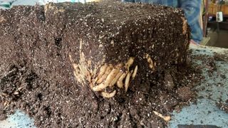 파머스팜X유성천마님의 자유주제 · 자유게시판 작성글 사진