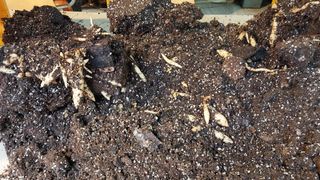 파머스팜X유성천마님의 자유주제 · 자유게시판 작성글 사진