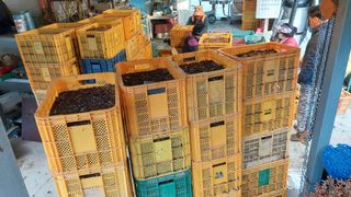 파머스팜X유성천마님의 자유주제 · 자유게시판 작성글 사진