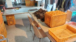 파머스팜X유성천마님의 자유주제 · 자유게시판 작성글 사진