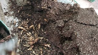 파머스팜X유성천마님의 자유주제 · 자유게시판 작성글 사진