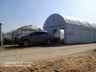 알 수 없음님의 호박 · 자유게시판 작성글 사진