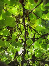 팜모닝 자유주제·사진전 게시글 이미지