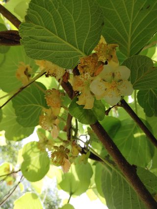 김갑임님의 자유주제 · 사진전 작성글 사진