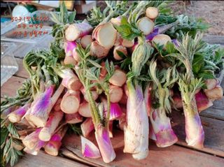 김종덕님의 작성글 사진