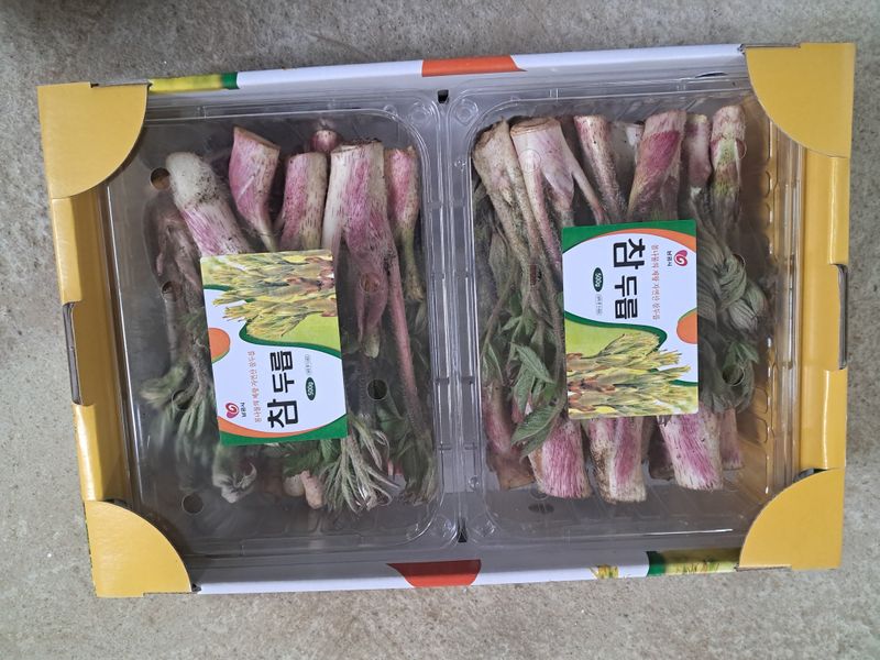 김종덕님의 장터 판매 상품 [자연산 땅두릅1kg] 첨부 사진