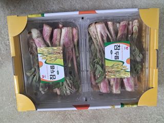 김종덕님의 작성글 사진