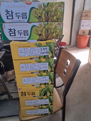 김종덕님의 작성글 사진