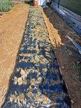 팜모닝 4월 농사계획 공유해요·참여글 게시글 이미지