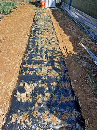 이기수님의 4월 농사계획 공유해요 · 참여글 작성글 사진