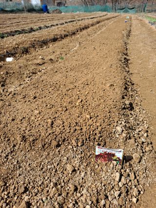 이기수님의 4월 농사계획 공유해요 · 참여글 작성글 사진