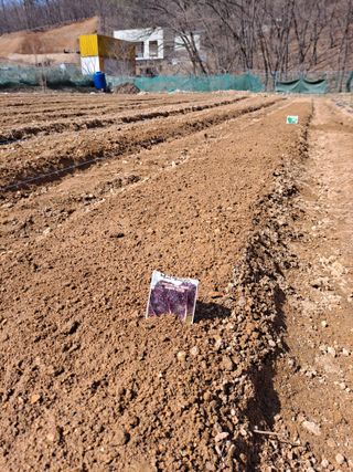 이기수님의 4월 농사계획 공유해요 · 참여글 작성글 사진