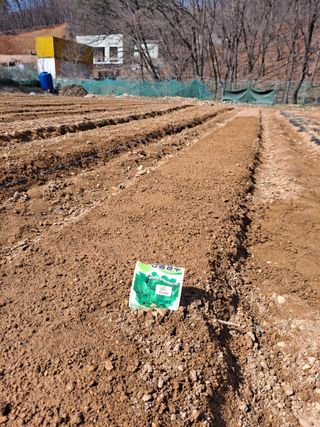 이기수님의 4월 농사계획 공유해요 · 참여글 작성글 사진