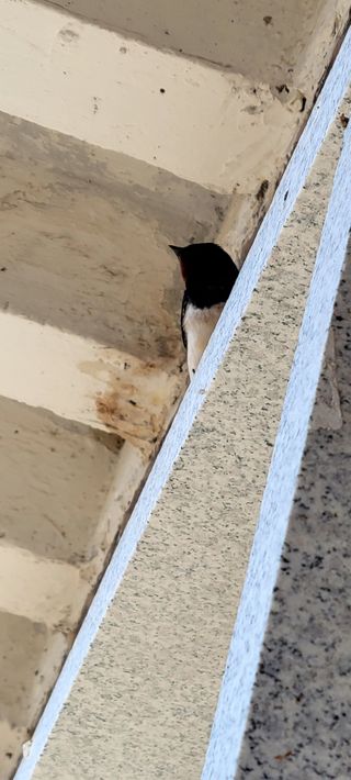 전소연님의 자유주제 · 자유게시판 작성글 사진