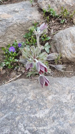 양구 촌놈님의 자유주제 · 자유게시판 작성글 사진