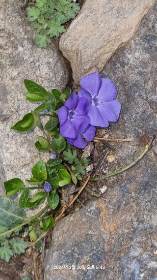양구 촌놈님의 자유주제 · 자유게시판 작성글 사진