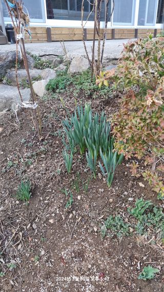 양구 촌놈님의 자유주제 · 자유게시판 작성글 사진