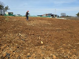 소병기 정직한농장님의 복숭아 · 영농일지 작성글 사진