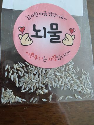 해미초보 김동철님의 자유주제 · 자유게시판 작성글 사진