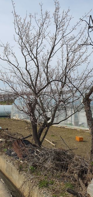 최창순님의 자유주제 · 자유게시판 작성글 사진