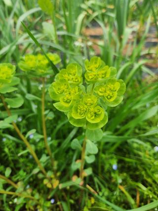 박경식님의 자유주제 · 자유게시판 작성글 사진