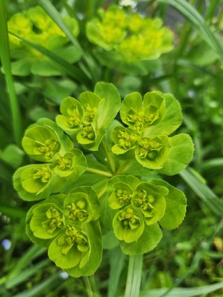 박경식님의 자유주제 · 자유게시판 작성글 사진
