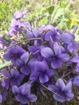 팜모닝 자유주제·자유게시판 게시글 이미지