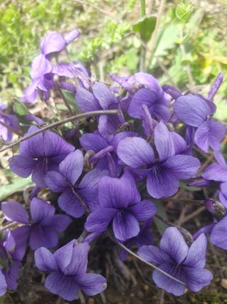 남 샘결 개둥맘님의 자유주제 · 자유게시판 작성글 사진