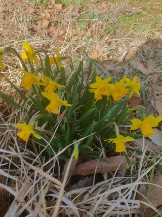 남 샘결 개둥맘님의 자유주제 · 자유게시판 작성글 사진