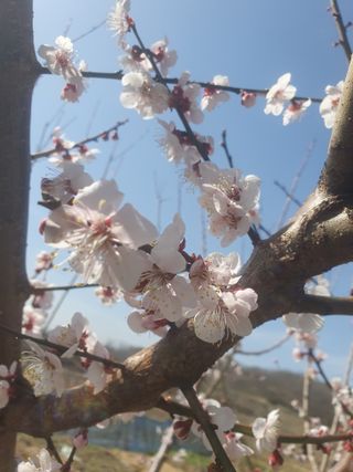 남 샘결 개둥맘님의 자유주제 · 자유게시판 작성글 사진