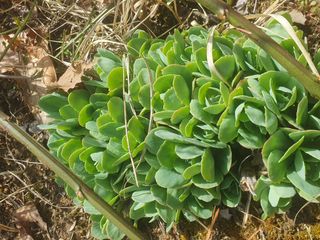 남 샘결 개둥맘님의 자유주제 · 자유게시판 작성글 사진