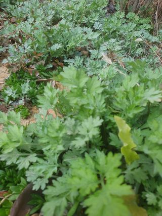 남 샘결 개둥맘님의 자유주제 · 자유게시판 작성글 사진