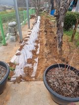 팜모닝 호박·영농일지 게시글 이미지