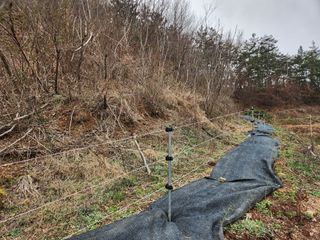 이희규님의 기타작물 · 영농일지 작성글 사진