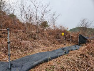 이희규님의 기타작물 · 영농일지 작성글 사진