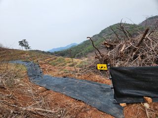 이희규님의 기타작물 · 영농일지 작성글 사진