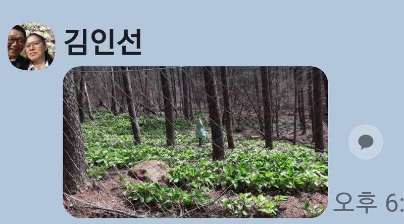 장터 상품 [명이나물1kg~] 썸네일