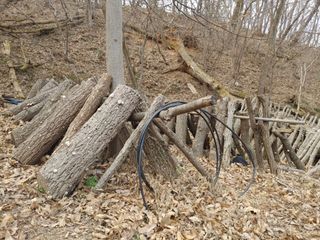 정영덕님의 작성글 사진