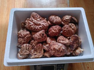 정영덕님의 작성글 사진