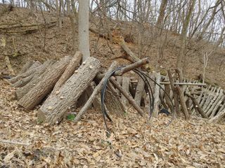 정영덕님의 작성글 사진