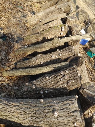 정영덕님의 작성글 사진