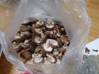 정영덕님의 작성글 사진