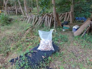 정영덕님의 작성글 사진