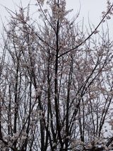 팜모닝 자유주제·자유게시판 게시글 이미지