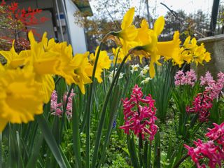 경희아짐님의 자유주제 · 자유게시판 작성글 사진