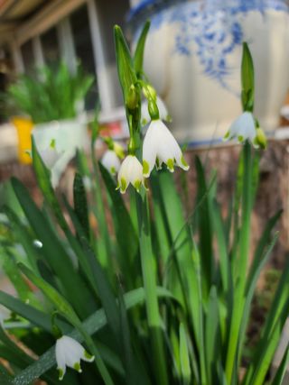 경희아짐님의 자유주제 · 자유게시판 작성글 사진