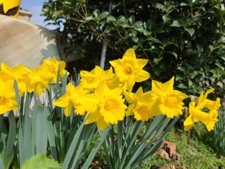 경희아짐님의 자유주제 · 자유게시판 작성글 사진