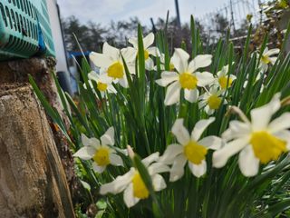 경희아짐님의 자유주제 · 자유게시판 작성글 사진