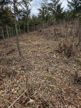 팜모닝 자유주제·자유게시판 게시글 이미지