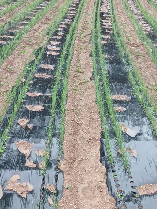 이재경님의 4월 농사계획 공유해요 · 참여글 작성글 사진